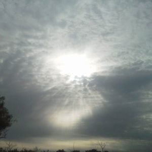 Meet your Posher, Travis